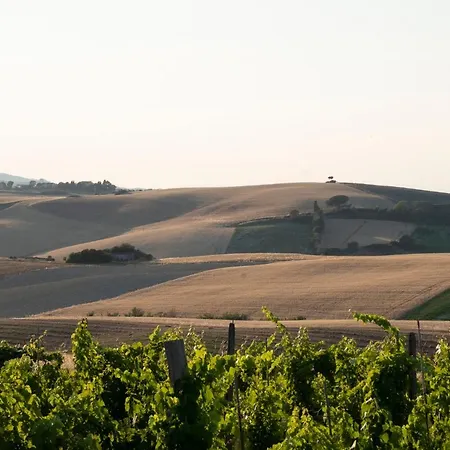 Nyaraló Barbara Santa Luce