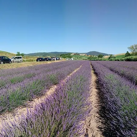 Σπίτι διακοπών Barbara